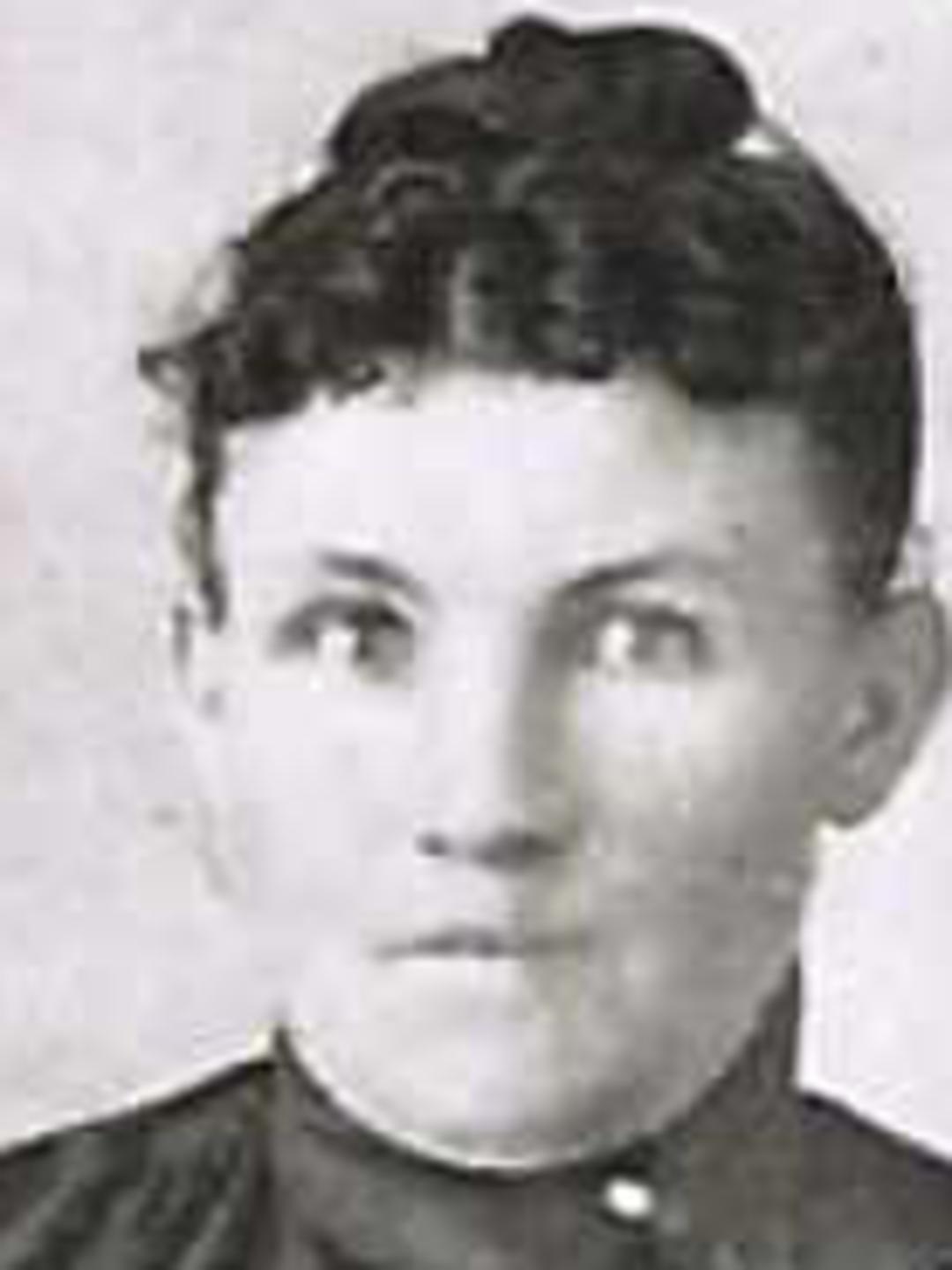 Amanda Wood (1829 - 1923) Profile